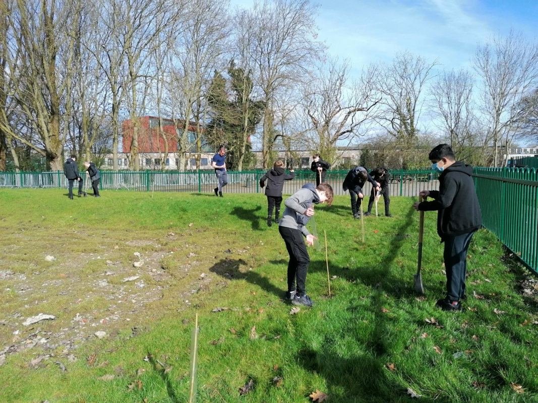 Image of Tree Planting Community Project